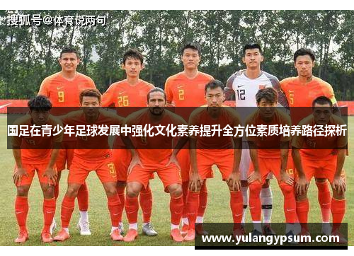国足在青少年足球发展中强化文化素养提升全方位素质培养路径探析