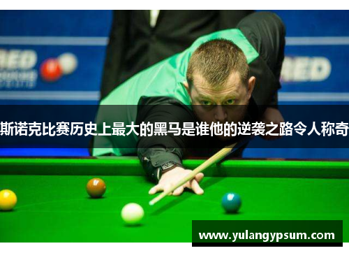 斯诺克比赛历史上最大的黑马是谁他的逆袭之路令人称奇