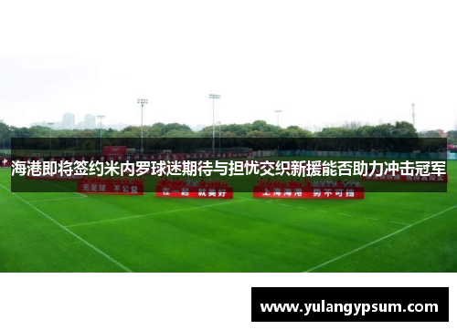 海港即将签约米内罗球迷期待与担忧交织新援能否助力冲击冠军