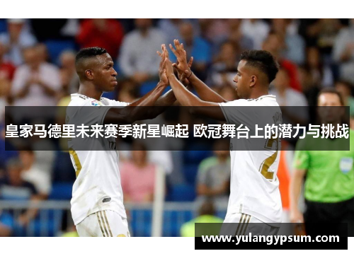 皇家马德里未来赛季新星崛起 欧冠舞台上的潜力与挑战